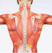 "Trigger Points Unveiled: A Comprehensive Guide on the Process of Trigger Point Therapy"