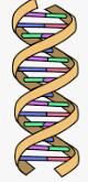 Genetic DNA Testing: