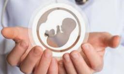 Fertility Clinics