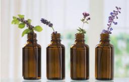 Flower Essences for Hormonal Balance: Supporting Skin and Emotional Health Naturally