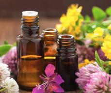 Exploring the Best Flower Essences for Anti-Aging: Natural Solutions for Timeless Beauty