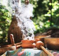 The Power of Plant Medicine: Shamanic Herbs and Remedies for Skin and Hair Health
