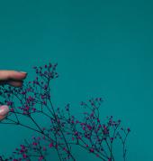 Innate Wellness Pretoria Brooklyn Therapeutic 1_small