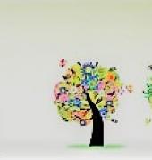 Think health Honeydew Health and Wellness shops 3_small