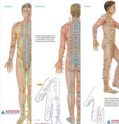 Chinese methodology good for everyone